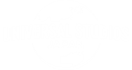 Japan Universal Studios y Viajes Premium
