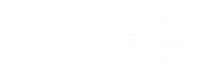 Japan Endless Discovery y Viajes Premium Japan Endless Discovery y Viajes Premium